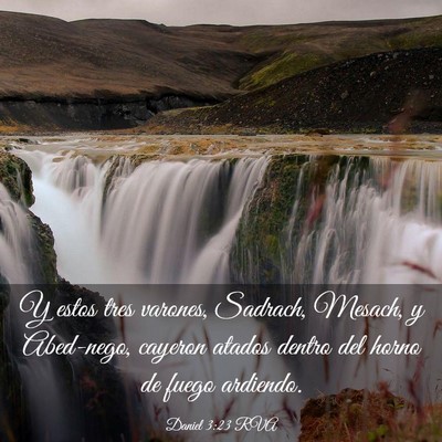 Picture 03 - Daniel 3:23 RVA - Y estos tres varones, Sadrach, Mesach, y - Bible Verse Picture