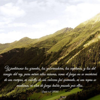 Picture 03 - Daniel 3:27 RVA - Y juntáronse los grandes, los gobernadores, los - Bible Verse Picture