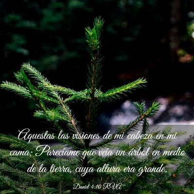 Picture 03 - Daniel 4:10 RVA - Aquestas las visiones de mi cabeza en mi cama: - Bible Verse Picture
