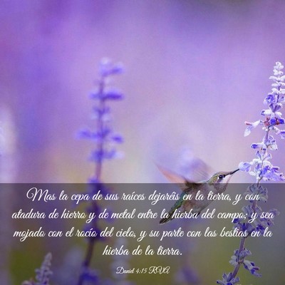 Picture 03 - Daniel 4:15 RVA - Mas la cepa de sus raíces dejaréis en la - Bible Verse Picture