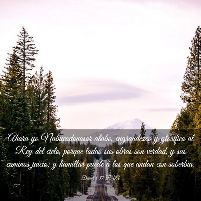 Picture 03 - Daniel 4:37 RVA - Ahora yo Nabucodonosor alabo, engrandezco y - Bible Verse Picture