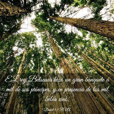 Picture 03 - Daniel 5:1 RVA - EL rey Belsasar hizo un gran banquete á mil de - Bible Verse Picture
