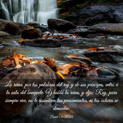 Picture 03 - Daniel 5:10 RVA - La reina, por las palabras del rey y de sus - Bible Verse Picture