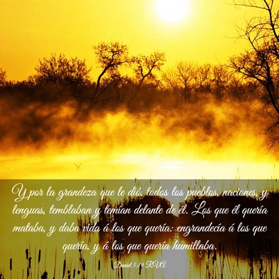 Picture 03 - Daniel 5:19 RVA - Y por la grandeza que le dió, todos los pueblos, - Bible Verse Picture