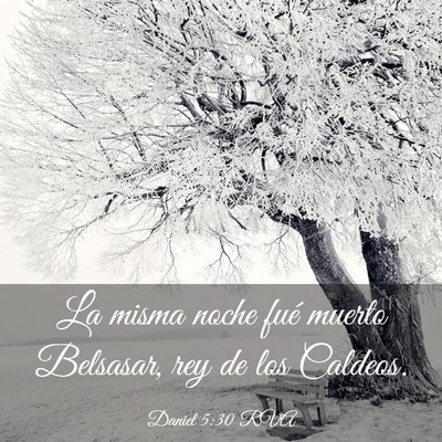 Picture 03 - Daniel 5:30 RVA - La misma noche fué muerto Belsasar, rey de los - Bible Verse Picture