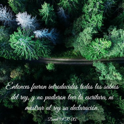 Picture 03 - Daniel 5:8 RVA - Entonces fueron introducidos todos los sabios del - Bible Verse Picture
