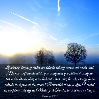 Picture 03 - Daniel 6:12 RVA - Llegáronse luego, y hablaron delante del rey - Bible Verse Picture