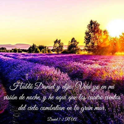 Picture 03 - Daniel 7:2 RVA - Habló Daniel y dijo: Veía yo en mi visión de - Bible Verse Picture