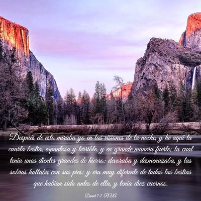 Picture 03 - Daniel 7:7 RVA - Después de esto miraba yo en las visiones de la - Bible Verse Picture