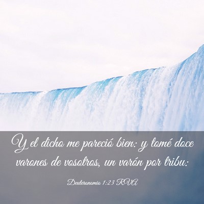 Picture 03 - Deuteronomio 1:23 RVA - Y el dicho me pareció bien: y tomé doce varones - Bible Verse Picture