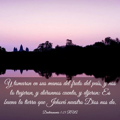 Picture 03 - Deuteronomio 1:25 RVA - Y tomaron en sus manos del fruto del país, y nos - Bible Verse Picture