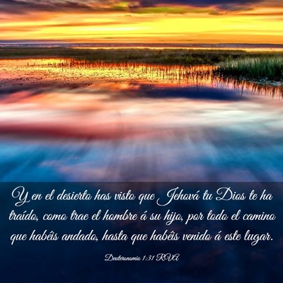 Picture 03 - Deuteronomio 1:31 RVA - Y en el desierto has visto que Jehová tu Dios te - Bible Verse Picture