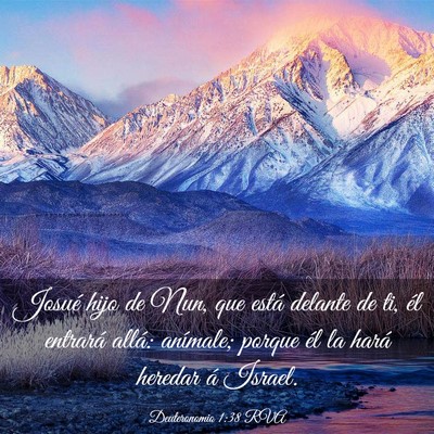 Picture 03 - Deuteronomio 1:38 RVA - Josué hijo de Nun, que está delante de ti, él - Bible Verse Picture