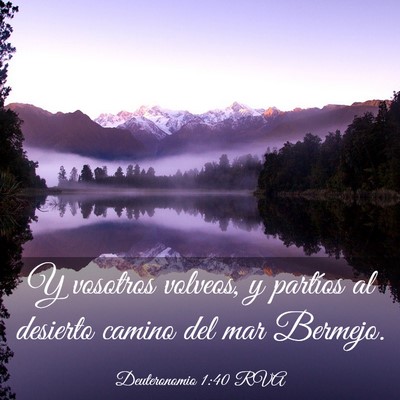 Picture 03 - Deuteronomio 1:40 RVA - Y vosotros volveos, y partíos al desierto camino - Bible Verse Picture
