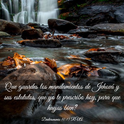 Picture 03 - Deuteronomio 10:13 RVA - Que guardes los mandamientos de Jehová y sus - Bible Verse Picture