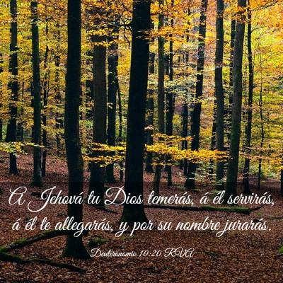 Picture 03 - Deuteronomio 10:20 RVA - A Jehová tu Dios temerás, á él servirás, á - Bible Verse Picture