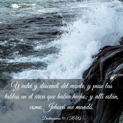 Picture 03 - Deuteronomio 10:5 RVA - Y volví y descendí del monte, y puse las tablas - Bible Verse Picture