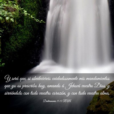 Picture 03 - Deuteronomio 11:13 RVA - Y será que, si obedeciereis cuidadosamente mis - Bible Verse Picture