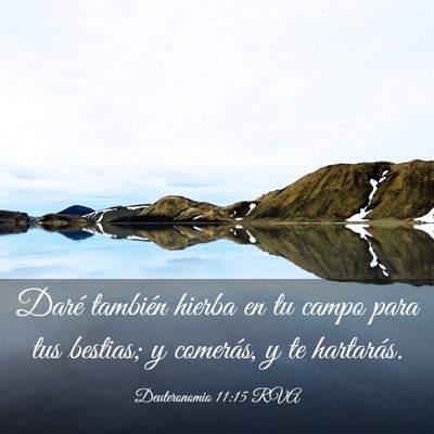 Picture 03 - Deuteronomio 11:15 RVA - Daré también hierba en tu campo para tus - Bible Verse Picture