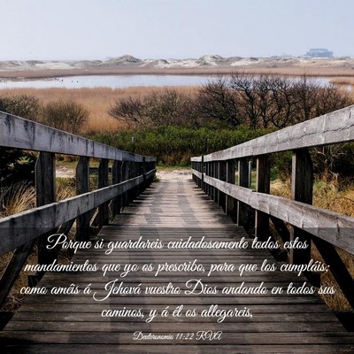 Picture 03 - Deuteronomio 11:22 RVA - Porque si guardareis cuidadosamente todos estos - Bible Verse Picture
