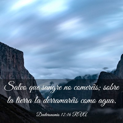 Picture 03 - Deuteronomio 12:16 RVA - Salvo que sangre no comeréis; sobre la tierra la - Bible Verse Picture