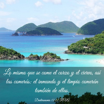Picture 03 - Deuteronomio 12:22 RVA - Lo mismo que se come el corzo y el ciervo, así - Bible Verse Picture