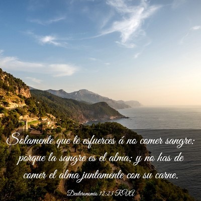Picture 03 - Deuteronomio 12:23 RVA - Solamente que te esfuerces á no comer sangre: - Bible Verse Picture