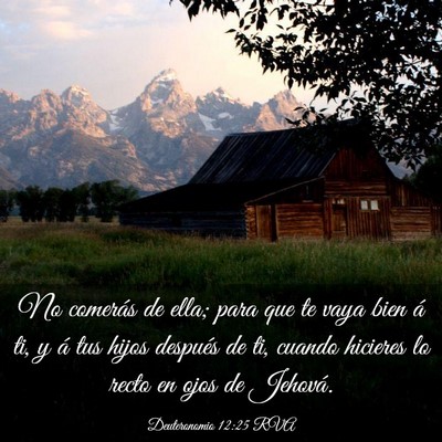 Picture 03 - Deuteronomio 12:25 RVA - No comerás de ella; para que te vaya bien á ti, - Bible Verse Picture