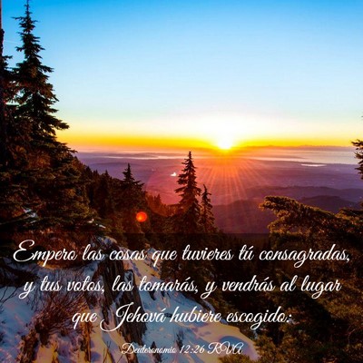 Picture 03 - Deuteronomio 12:26 RVA - Empero las cosas que tuvieres tú consagradas, y - Bible Verse Picture