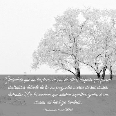 Picture 03 - Deuteronomio 12:30 RVA - Guárdate que no tropieces en pos de ellas, - Bible Verse Picture