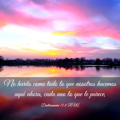 Picture 03 - Deuteronomio 12:8 RVA - No haréis como todo lo que nosotros hacemos - Bible Verse Picture