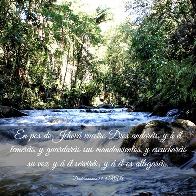 Picture 03 - Deuteronomio 13:4 RVA - En pos de Jehová vuestro Dios andaréis, y á - Bible Verse Picture