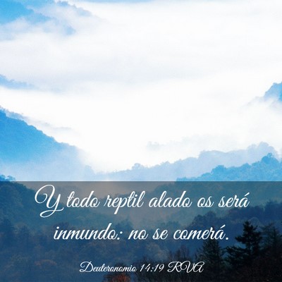 Picture 03 - Deuteronomio 14:19 RVA - Y todo reptil alado os será inmundo: no se - Bible Verse Picture