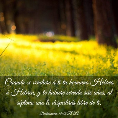 Picture 03 - Deuteronomio 15:12 RVA - Cuando se vendiere á ti tu hermano Hebreo ó - Bible Verse Picture