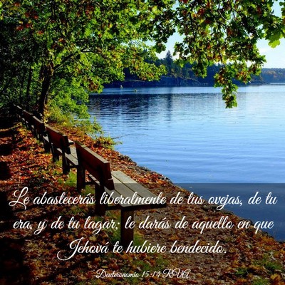 Picture 03 - Deuteronomio 15:14 RVA - Le abastecerás liberalmente de tus ovejas, de tu - Bible Verse Picture