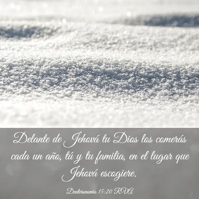 Picture 03 - Deuteronomio 15:20 RVA - Delante de Jehová tu Dios los comerás cada un - Bible Verse Picture