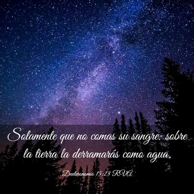 Picture 03 - Deuteronomio 15:23 RVA - Solamente que no comas su sangre: sobre la tierra - Bible Verse Picture