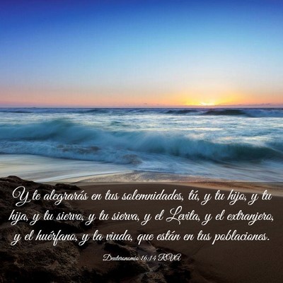 Picture 03 - Deuteronomio 16:14 RVA - Y te alegrarás en tus solemnidades, tú, y tu - Bible Verse Picture