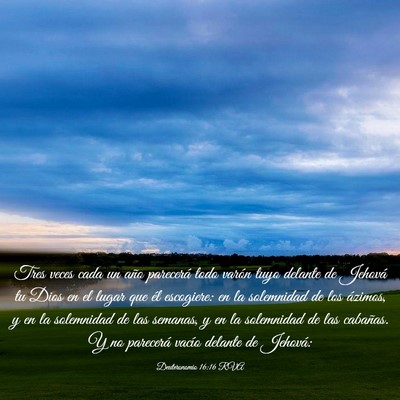 Picture 03 - Deuteronomio 16:16 RVA - Tres veces cada un año parecerá todo varón - Bible Verse Picture