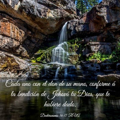 Picture 03 - Deuteronomio 16:17 RVA - Cada uno con el don de su mano, conforme á la - Bible Verse Picture