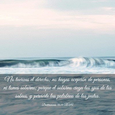 Picture 03 - Deuteronomio 16:19 RVA - No tuerzas el derecho; no hagas acepción de - Bible Verse Picture