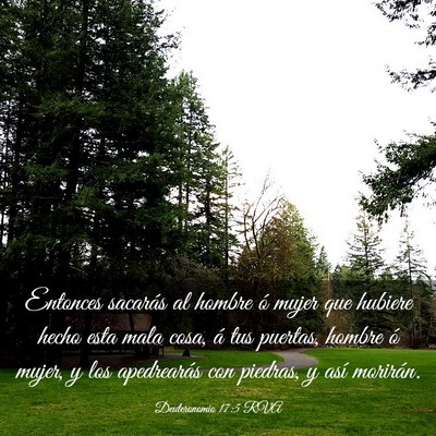 Picture 03 - Deuteronomio 17:5 RVA - Entonces sacarás al hombre ó mujer que hubiere - Bible Verse Picture