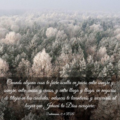 Picture 03 - Deuteronomio 17:8 RVA - Cuando alguna cosa te fuere oculta en juicio - Bible Verse Picture