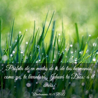 Picture 03 - Deuteronomio 18:15 RVA - Profeta de en medio de ti, de tus hermanos, como - Bible Verse Picture