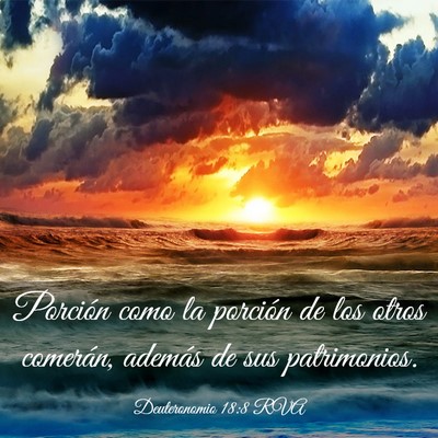 Picture 03 - Deuteronomio 18:8 RVA - Porción como la porción de los otros comerán, - Bible Verse Picture