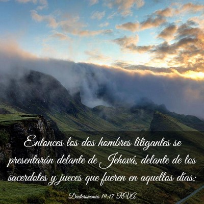Picture 03 - Deuteronomio 19:17 RVA - Entonces los dos hombres litigantes se - Bible Verse Picture