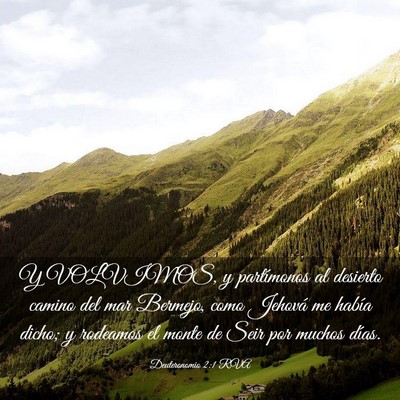 Picture 03 - Deuteronomio 2:1 RVA - Y VOLVIMOS, y partímonos al desierto camino del - Bible Verse Picture