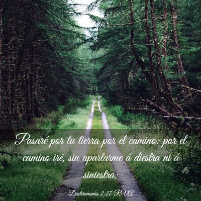 Picture 03 - Deuteronomio 2:27 RVA - Pasaré por tu tierra por el camino: por el - Bible Verse Picture