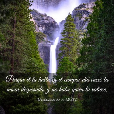 Picture 03 - Deuteronomio 22:27 RVA - Porque él la halló en el campo: dió voces la - Bible Verse Picture