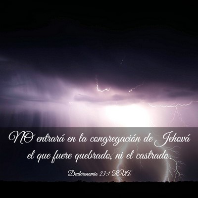 Picture 03 - Deuteronomio 23:1 RVA - NO entrará en la congregación de Jehová el que - Bible Verse Picture